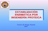 Teresa de Diego Puente 2007 - UM · Reemplazamiento de pares iónicos internos Reemplazamiento interno de la His, Cys y Tyr Alteración de los grupos cargados de la superficie Estabilidad