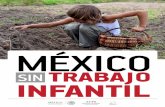MÉXICO - Alto Nivel€¦ · Caso de declaratoria de contingencia sanitaria. Actividades agrícolas, ... vidriera, cerámica, cerera y ... en el Plan Nacional de De-