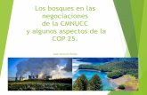 Los bosques en las negociaciones de la CMNUCC · Los grandes emisores están en silencio, excepto la UE . El nuevo informe del IPCC muestra que los impactos del CC serán mas severos