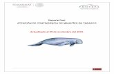 Reporte final ATENCIÓN DE CONTINGENCIA DE MANATÍES EN TABASCO · de Tabasco, contando de inicio con los integrantes de la Red de atención para varamiento de mamíferos marinos