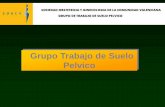 Grupo Trabajo de Suelo Pelvico - SOGCV 2007-2011 Grupo Suelo Pelvico.pdf · • Empleo del sistema POPQ Dra C Bausset ... Utilización de material protésico en la cirugía del prolapso