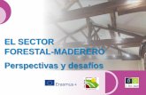 EL SECTOR FORESTAL-MADERERO Perspectivas y desafíoseforown.ctfc.cat/pdf/39b_ El sector forestal... · Un mejor conocimiento del sector forestal-maderero es un activo importante para
