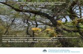Plan Nacional de Restauración de Bosques Nativos. (PNRBN) · paso inicial sumamente necesario para la posterior implementación activa y efectiva del PNRBN. Será la base para programar,