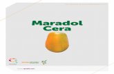 Más información en Maradol Cera … · 2018-10-05 · Semillas del Caribe© One Step Ahead Más información en Maradol Cera SEMICLAS DE PAPAYA Este producto, contiene la tecnología