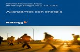Informe Financiero Anual de Naturgy Energy Group, S.A. 2018 · 8 · Informe Financiero Anual de Naturgy Energy Group, S.A. 2018 3 Transmisión del 20% de la participación de Holding