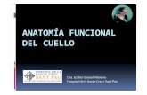 Anatomía funcional del cuello · Microsoft PowerPoint - Anatomía funcional del cuello.pptx Author: tecnicsales Created Date: 6/8/2011 4:00:54 PM ...