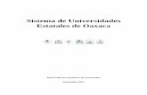 Sistema de Universidades Estatales de Oaxaca · k) Llevar un registro de proyectos y propuestas académicas que estén relacionadas con la División. l) Someter a aprobación del