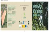O río Grande de Xubia pasa a rentes doficacións que sufriu ...sansadurnino.gal/wp-content/uploads/2016/05/folleto_arboreto.pdf · facer das súas ribeiras un espazo natural para