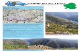 ruta Canón do Sil-Lugo Canón do Sil-Lugo.pdf · Un tramo do río está protexido no LIC “Canóns do Sil”. AdelaLeiro,MonDaporta CANÓN DO SIL-LUGO Panorámica desde o miradoiro