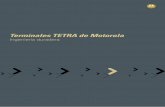 Terminales TETRA de Motorola · Motorola desarrolla y proporciona soluciones de misión crítica desde hace más de 70 años. Soluciones diseñadas para funcionar en los entornos