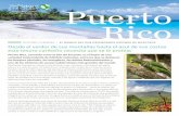 DIVISIÓN CARIBEÑA EL MUNDO DEL QUE DEPENDEMOS … · The Nature Conservancy (TNC) ha estado trabajando en Puerto Rico por cerca de una década, en aras de continuar una evaluación