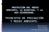 PROTECCIÓN DEL MEDIO AMBIENTE, LA BIOSFERA, Y LA BIO … · 2015-10-13 · DUBDH Artículo 17 – Protección del medio ambiente, la biosfera y la biodiversidad Se habrán de tener
