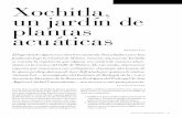 Xochitla, un jardín de plantas acuáticas · La idea de la creación del Ja rdín de plantas acuáticas de la Fundación Xochitla surgió como un sueño hace cinco años, en agosto