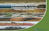 Os hábitats de Interese Comunitario en Galicia. Fichas ... - IBADER · Dentro do territorio galego, este hábitat presenta variantes relacionadas principalmente coa especie dominante.