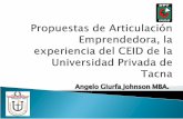 Angelo Giurfa Johnson MBA. - PERUINCUBAperuincuba.net/portal/pdfs/2008/6.pdf · 2010-03-05 · significativa e internacionalizar } Participación en Exposiciones } Misiones comerciales.