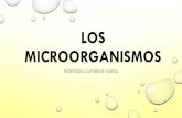 Los microorganismos · Es causada por hongos de tipo dermatofitos, los cuales afectan diferentes partes de la piel. La tiña se produce por humedad prolongada en la piel, alguna lesión