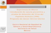Experiencia de México Introducción de vacuna preventiva y ... · prueba de detección del Virus del Papiloma Humano (VPH) Programa de Cáncer Cérvico Uterino. ... un caso de CACU