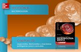 Presentación de PowerPointnovella.mhhe.com/sites/dl/free/000001170x/1044098/...Figura 22-1 A: Tinción de Gram de Legionella pneumophila: los microorganismos captan débilmente la