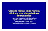 Cicatriz radial: importancia clínica y sus diagnósticos diferencialescongreso.sordic.org.ar/.../2014/poster/2014_302_PE_Mama.pdf · 2014-06-17 · mama. Se trata de un nido central