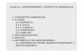 Tema 6.1.- ANGIOSPERMAS. CONCEPTOS GENERALES 1.-CONCEPTOS …umh1156.edu.umh.es/wp-content/uploads/sites/754/2013/02/Tema-6… · CONCEPTOS GENERALES 3.-INFLORESCENCIAS Ramificaciones
