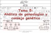 Tema 5: Análisis de genealogía y consejo genéticobioinformatica.uab.es/base/documents/genetica_gen/... · Tema 5: Análisis de genealogía y consejo genético 18 Muestra vellosidades