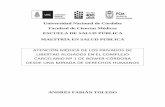 escrito de tesis final II - Universidad Nacional de Córdobalildbi.fcm.unc.edu.ar/lildbi/tesis/TOLEDO_ANDRES.pdf · RESUMEN Durante doce meses se ha analizado la demanda de consultas