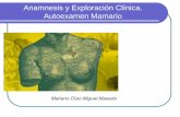 Anamnesis y Exploración Clínica. Autoexamen Mamario · localización de los hallazgos que se obtengan en la palpación. • Palpación de la mama izquierda: tumbada boca arriba