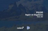 Región de Magallanes · Que Magallanes tenga un horario diferenciado al resto de Chile % En desacuerdo % Acuerdo Casos: 702. Evaluación de actores políticos. Aprobación Sebastián