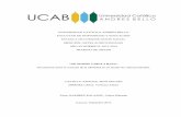UNIVERSIDAD CATÓLICA ANDRÉS BELLO FACULTAD DE …biblioteca2.ucab.edu.ve/anexos/biblioteca/marc/texto/AAS9595.pdf · argentino, denomina Culturas hibridas. Ya no se puede hablar