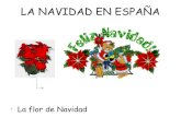 LA NAVIDAD EN ESPAÑA · A VER SI TE TOCA EL « GORDO » El comienzo de la Navidad en España lo marca el día de Lotería Nacional. El sorteo se realiza el 22 de diciembre.