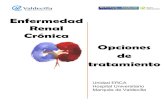 Enfermedad Renal Crónica Opciones de tratamiento onto · renal (TSR). El momento ideal para iniciar el tratamiento sustitutivo renal en el paciente con enfermedad renal crónica