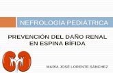 NEFROLOGÍA PEDIÁTRICAanpheb.es/.../2016/06/PONENCIA-PREVENCION-DAÑO-RENAL.pdfEnfermedad renal crónica INFECCIÓN URINARIA Factores de riesgo: Residuo postmiccional Presencia de