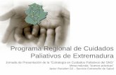 Programa Regional de Cuidados Paliativos de Extremadura€¦ · (Observatorio Regional de Cuidados Paliativos) Plan Estratégico 2007 - 2009 1. Asegurar una estructura estable y adaptada