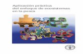 Aplicación práctica del enfoque de ecosistemas en la pesca · 2006-08-23 · Nº 4, Supl. 2, que llevan por título La ordenación pesquera. 2. El enfoque de ecosistemas en la pesca.