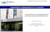1 VALORACIÓN DEL FUNCIONAMIENTO DE LA CN ALMARAZ · Comité de Información Local de CN Almaraz 5 Informes relevantes emitidos por el Pleno del Consejo En 2017 se han apreciado favorablemente