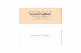 Célula Eucariótica - Recinto Universitario de Mayagüezacademic.uprm.edu/~amassol/biol3770/CAP-02B_MicrobialLife.pdf · Célula Prokariótica. Célula Eucariótica. Virus. 2.3 El