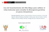Uso del levantamiento del Alto Mayo para calibrar el reloj ...cuevasdelperu.org/Conferencias/Chachapoyas2018/Garcia.pdf · en peces Amazónicos Iquitos Agosto del 2018 PERÚ Ministerio