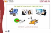 SERVICIOS A LAS EMPRESAS - AEPLA Servicios a Empresas.pdf · TICs y las Tecnologías Audiovisuales. Es Centro de Referencia Nacional en la Familia Profesional de Imagen y Sonido.