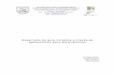DESARROLLO DE GUÍA TURISTICA A TRAVES DE APLICACIONES …biblioteca2.ucab.edu.ve/anexos/biblioteca/marc/texto/AAS... · 2015-05-13 · - Aumento de la Inversión Publicitaria en