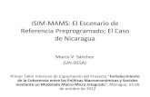 ISIM MAMS: El Escenario de Preprogramado; El …...ISIM‐MAMS: El Escenario de Referencia Preprogramado; El Caso de Nicaragua Primer Taller Intensivo de Capacitación del Proyecto