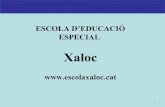 Xalocescolaxaloc.cat/wp-content/uploads/2016/07/PRESENTACIO.pdf · 2016-07-28 · 4 •El titular de l’escola és l’Associació Escola Educació Especial Xaloc, formada per pares