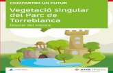 Vegetació singular del Parc de Torreblanca...Amb aquesta voluntat neix el dossier educatiu per a la descoberta dels arbres singulars del parc de Torreblanca, una eina adreçada a