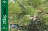 Interior Catalunya forestal 94 · Entrevista Josep Famadas: “Cal un canvi en la ... Jo li deia que feta salvedat de quan anava a bosc, havia de vestir sempre de jaqué, que se ...