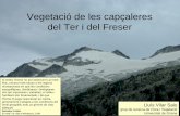 Vegetació de les capçaleres del Ter i del Les capçaleres del Ter i del Freser són a l’alta muntanya Quan es puja d’altitud, a les muntanyes varien les condicions ambientals.