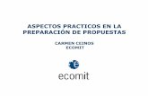 CARMEN CEINOS ECOMIT - Ameticametic.es/sites/default/files/media/CarmenCeinos_Ecomit.pdf · Effort: La mayor parte del presupuesto de un proyecto de I+D, va destinado a gastos de