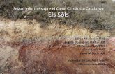 Segon Informe sobre el Canvi Climàtic a Catalunya Els Sòlscanvi-climatic.espais.iec.cat/files/2013/07/06_Sols_SICC.pdf-Formació de biocarbó altament recalcitrant 6. Activitats