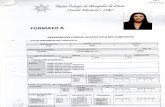 DECLARACION JURADA HOJA DE VIDA DEL CANDIDATO I DATOS PERSONALES DEL CANDIDATO: ... Ministerio de Trabajo y Promoción del Empleo Colegio de Abogados de Lima - Presidente de la Junta