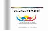 CASANARE - ReliefWeb...Casanare, además de realizar una nueva incursión en Arauca. Durante los años 2001, 2002 y 2003 se han ... Monterrey, Aguazul, Villanueva y Orocué, relacionados