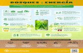 BOSQUES y ENERGÍA · 2018-12-06 · fao.org/forestry/es ©FAO 2017 I6928ES/1/03.17 BOSQUES y ENERGÍA La energía de origen forestal proporciona actualmente el 40% del suministro