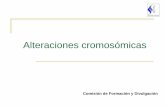 Alteraciones cromosómicas · Alteraciones cromosómicas Son las enfermedades causadas por variaciones en el número o en la estructura normal de los cromosomas Cultivo a 37ºCFile